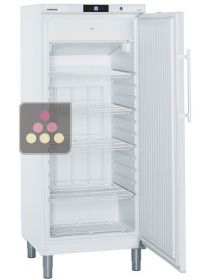 Armoire négative ventilée professionnelle 337L utiles LIEBHERR