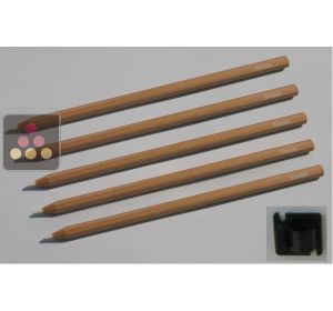 Lot de 5 crayons craie + 1 Support ARTEVINO