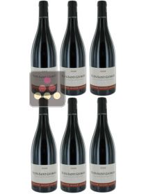 6 bouteilles de Nuits-Saint-Georges 2009 - Domaine ARNOUX-LACHAUX Sélection Vin