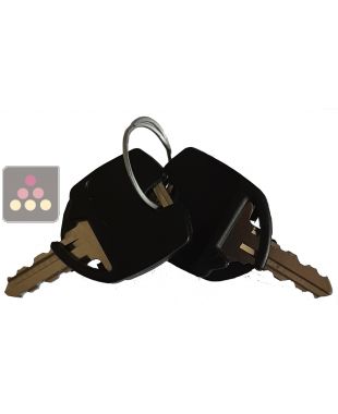 Lot de 2 clés de remplacement pour cave à vin Artevino ancien modèle ARTEVINO