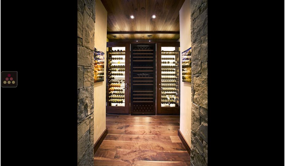 Cave à vin multi-usages 2 températures