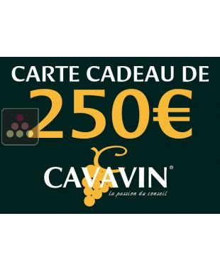 Carte Cadeau CAVAVIN 250€ du 04/04/2025 au 31/05/2025 suivant conditions CLIMADIFF