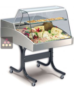 Comptoir réfrigéré vitré à poser pour fromages, charcuteries, viandes ou produits frais - Vitrage droit TECNOX