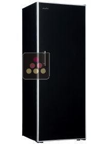 Cave à vin Multi-Usages 2 températures de vieillissement et de service des boissons fraîches ARTEVINO