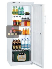 Armoire positive ventilée porte pleine - 333L LIEBHERR