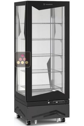 Vitrine verticale positive ventilée - 450L