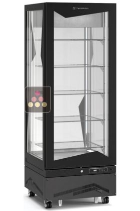 Vitrine verticale négative ventilée - 450L