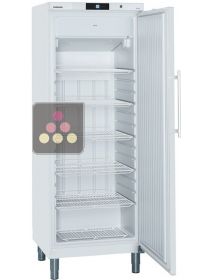 Armoire négative ventilée de restauration blanche - Cuve ABS - 377L LIEBHERR PRO