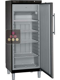 Armoire négative ventilée de restauration - Cuve ABS - Carrosserie inox BlackSteel - 325L LIEBHERR PRO