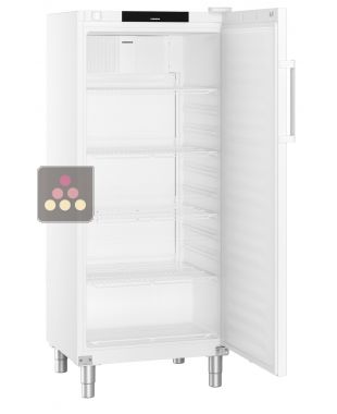 Armoire positive ventilée de restauration GN 2/1 - Cuve ABS - 419L LIEBHERR PRO