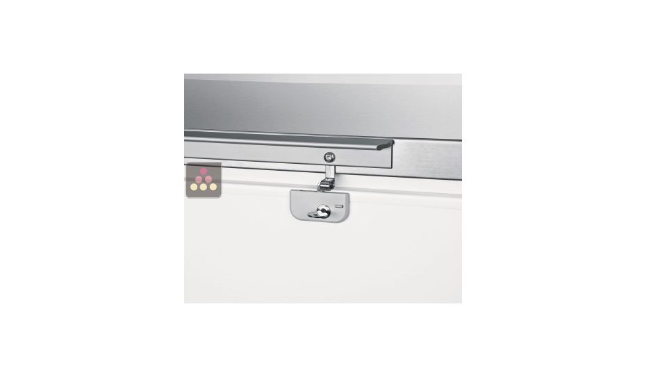 Conservateur-coffre négatif statique - 283L - Couvercle Inox