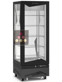 Vitrine verticale négative ventilée - 450L - Charnières à gauche TECFRIGO