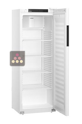 Armoire positive ventilée blanche - 250L