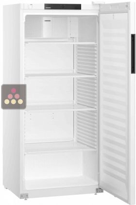 Armoire positive ventilée blanche - 432L