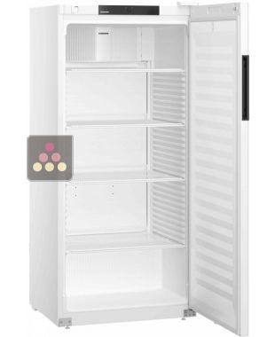 Armoire positive ventilée blanche - 432L LIEBHERR PRO