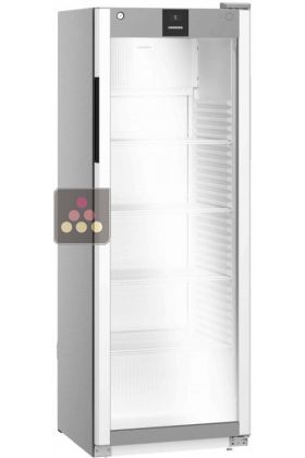 Armoire positive ventilée - Porte vitrée et éclairage LED latéral - Époxy Silver - 250L