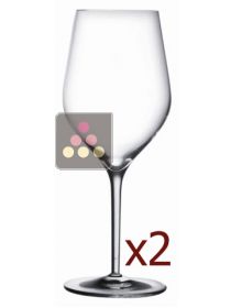 Good Size n&deg;3 - Boite de 2 verres L'ATELIER du VIN