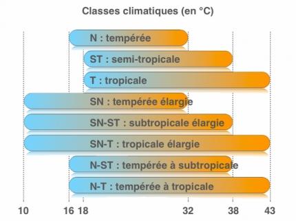 classe climatique cave à vin